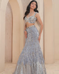 Starry-Eyed Silver Lehenga