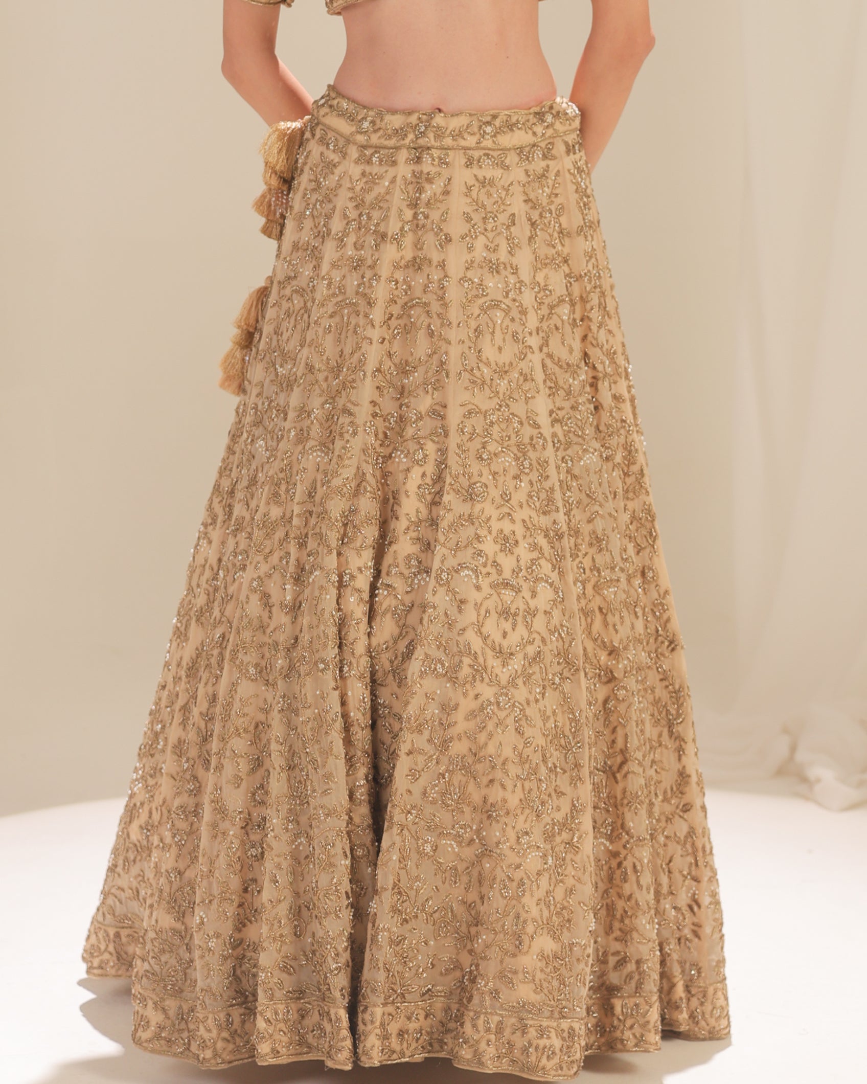 The Golden Hour Zardoz Lehenga