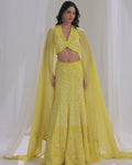 Sunkissed Lemon Katdana and Sequins Lehenga