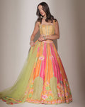 Main Character Multicolour Mirror Lehenga